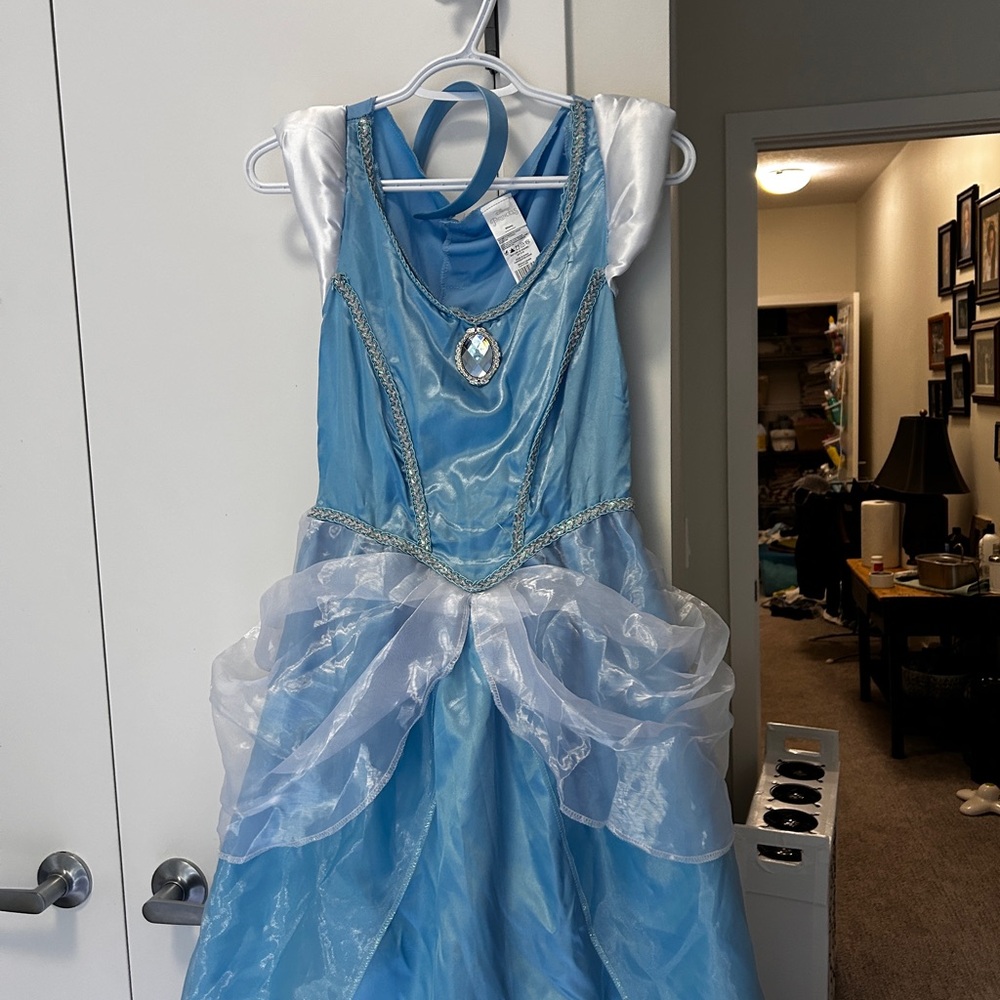 Disney Blue and White Magical Theater Gown